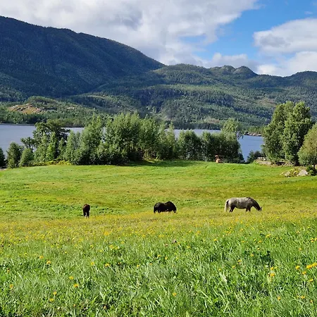 Luxurious With Spectacular View